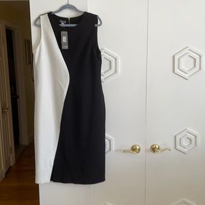 NWT Basler Black and white shift dress.